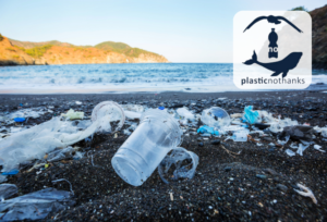Read more about the article Wywrotka dołącza do ruchu „Plastic no Thanks”