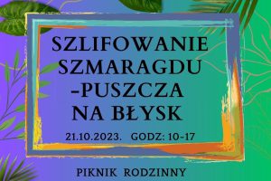 Read more about the article Będziemy Szlifować Szmaragd!